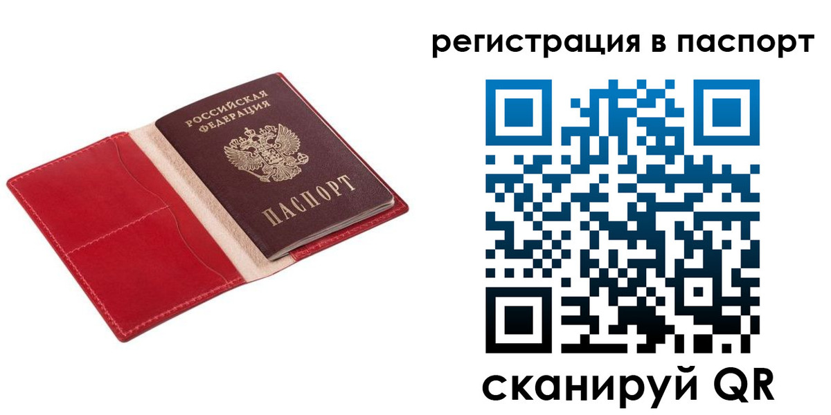 прописка 2025 в Курской области